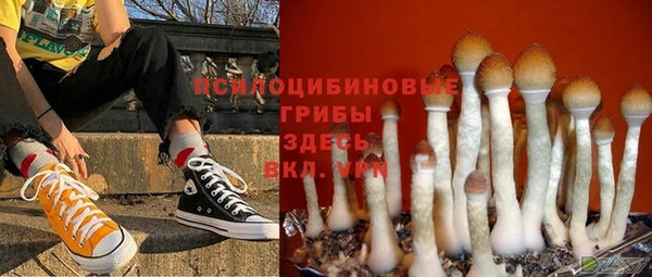 наркотики Богородск