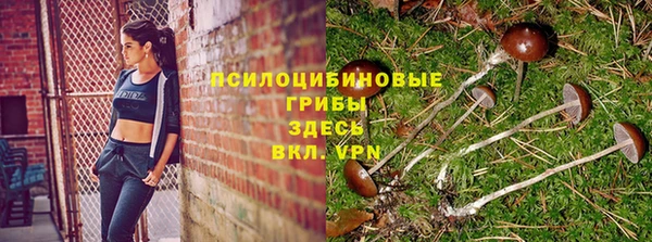 мдма Богданович